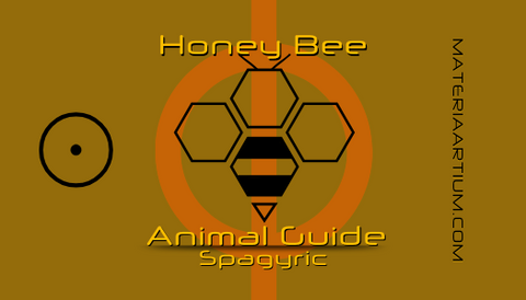 Honey Bee Animal Guide Spagyric