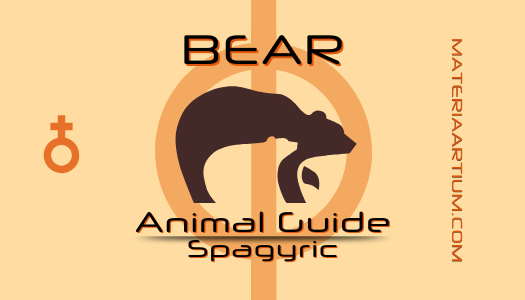 Bear Animal Guide Spagyric