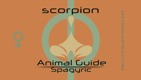 Scorpion Animal Guide Spagyric