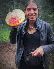 Load image into Gallery viewer, Amanita Muscaria Quintessence
