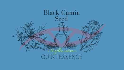 Black Cumin Seed Quintessence
