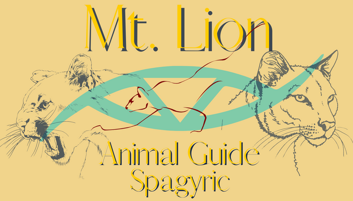 Mountain Lion Animal Guide Spagyric