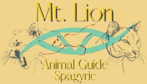 Mountain Lion Animal Guide Spagyric