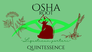 Osha Root Quintessence