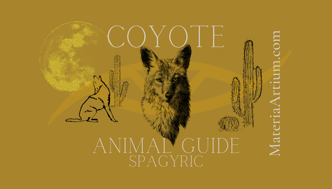 Coyote Animal Guide Spagyric