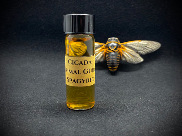 CICADA ANIMAL GUIDE SPAGYRIC