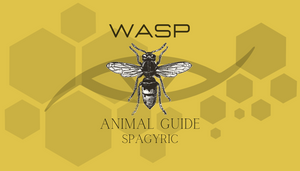 WASP ANIMAL GUIDE SPAGYRIC