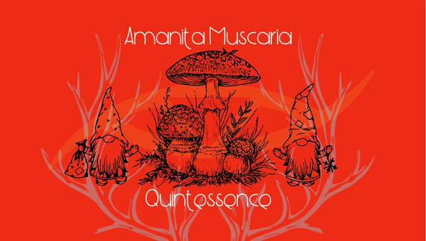 Amanita Muscaria Quintessence