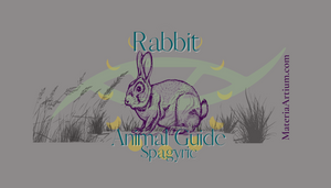 Rabbit Animal Guide Spagyric