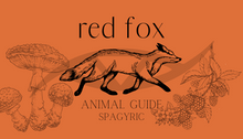 Load image into Gallery viewer, Red Fox Animal Guide Spagyric
