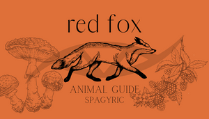 Red Fox Animal Guide Spagyric