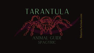 Tarantula Animal Guide Spagyric